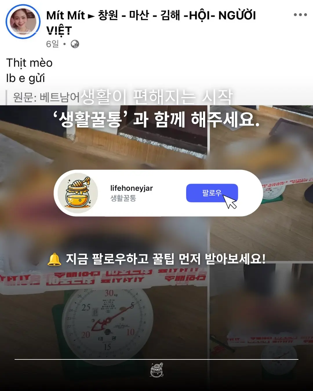 한국에서 고양이를 도축해서 고기를 판매중인 베트남인 이라네요 (5)