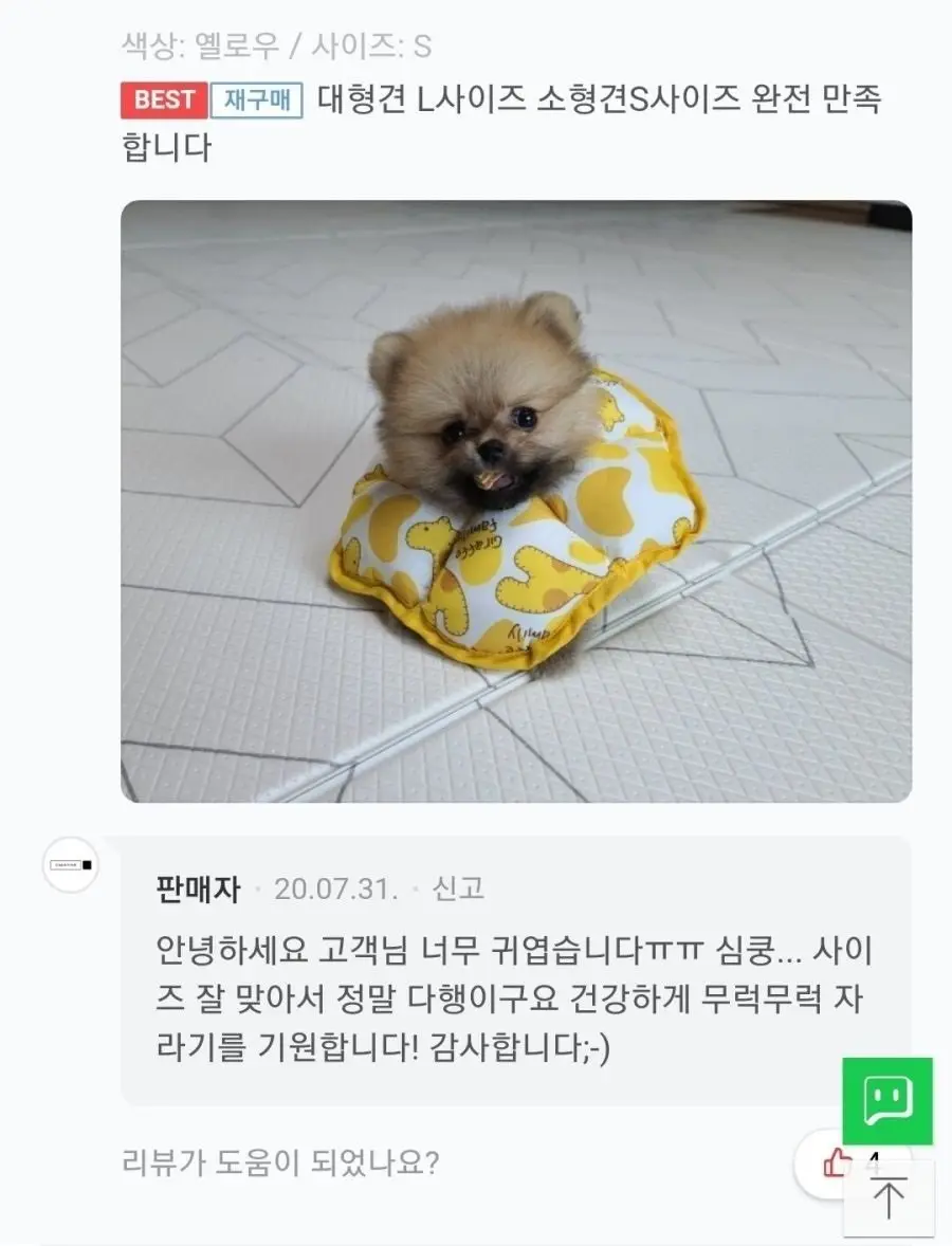 강아지 넥카라 구매 후기 ㅋㅋㅋ (2)