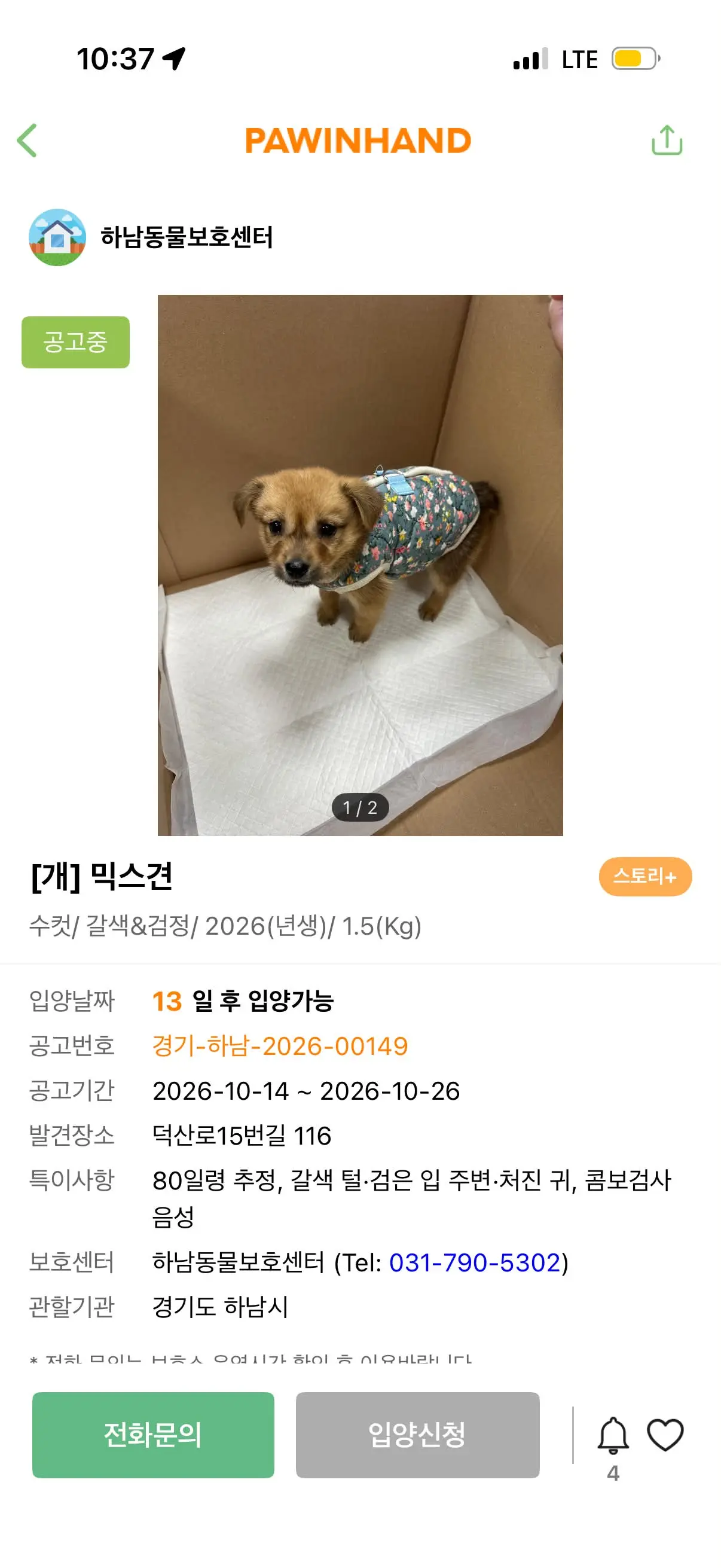 하남시보호소 1개월 강아지 푸딩이, 추운 보호소에서 가족을 기다려요 (2)