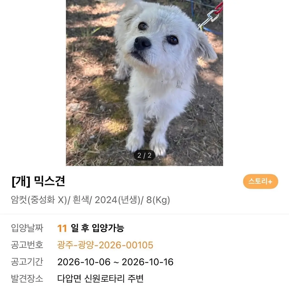 버스정류장에 버려진 2살 여울이, 끝까지 함께할 진짜 가족을 찾아요 (9)