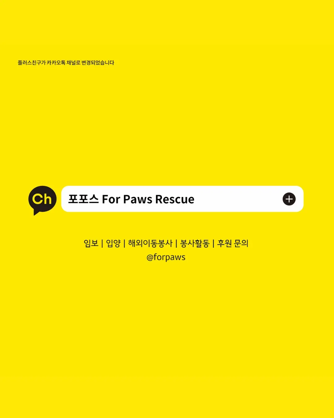 11월 30일 출국 전까지 머물 곳이 필요한 1살 수성이, 임보처를 찾아요 (8)