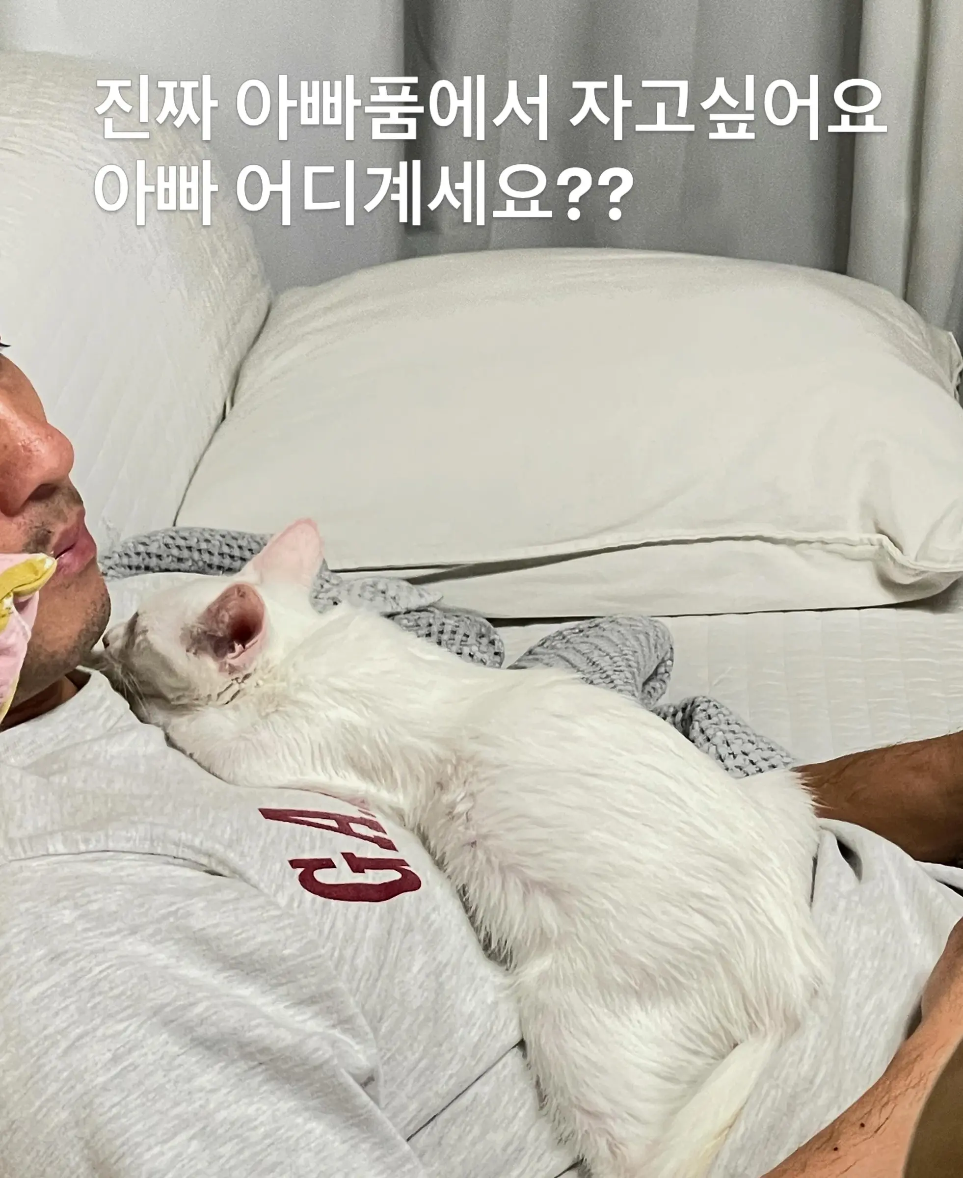 트럭 타고 온 듯 풀숲에서 울던 4개월 아기 고양이, 가족을 찾아요 (11)
