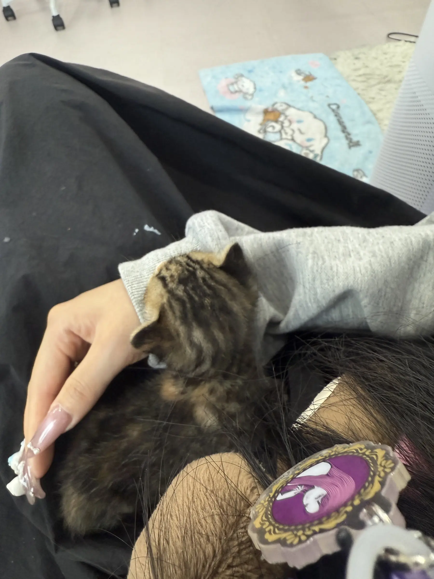 어미가 주차장에 두고 간 순한 3주 아기 고양이, 임보·입양처를 찾아요 (3)
