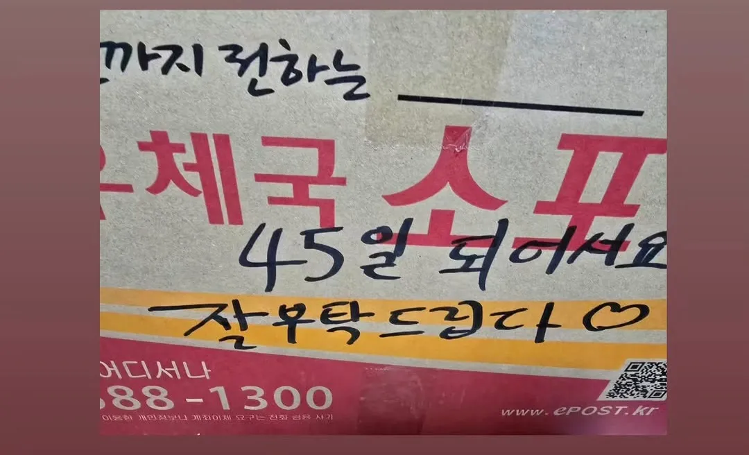 대구 보호소 앞 우체국 상자에 버려진 생후 45일 강아지 5마리, 급히 임보·입양처를 찾아요 (4)