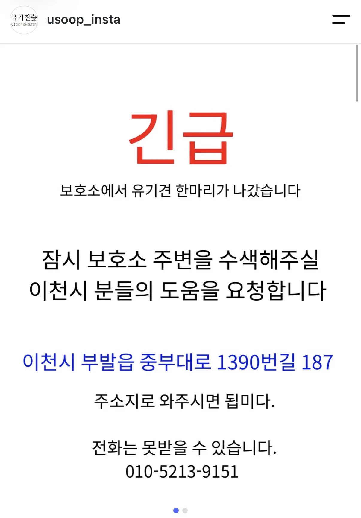 이천 보호소에서 나간 수술 회복 중인 백구를 찾아요 (2)