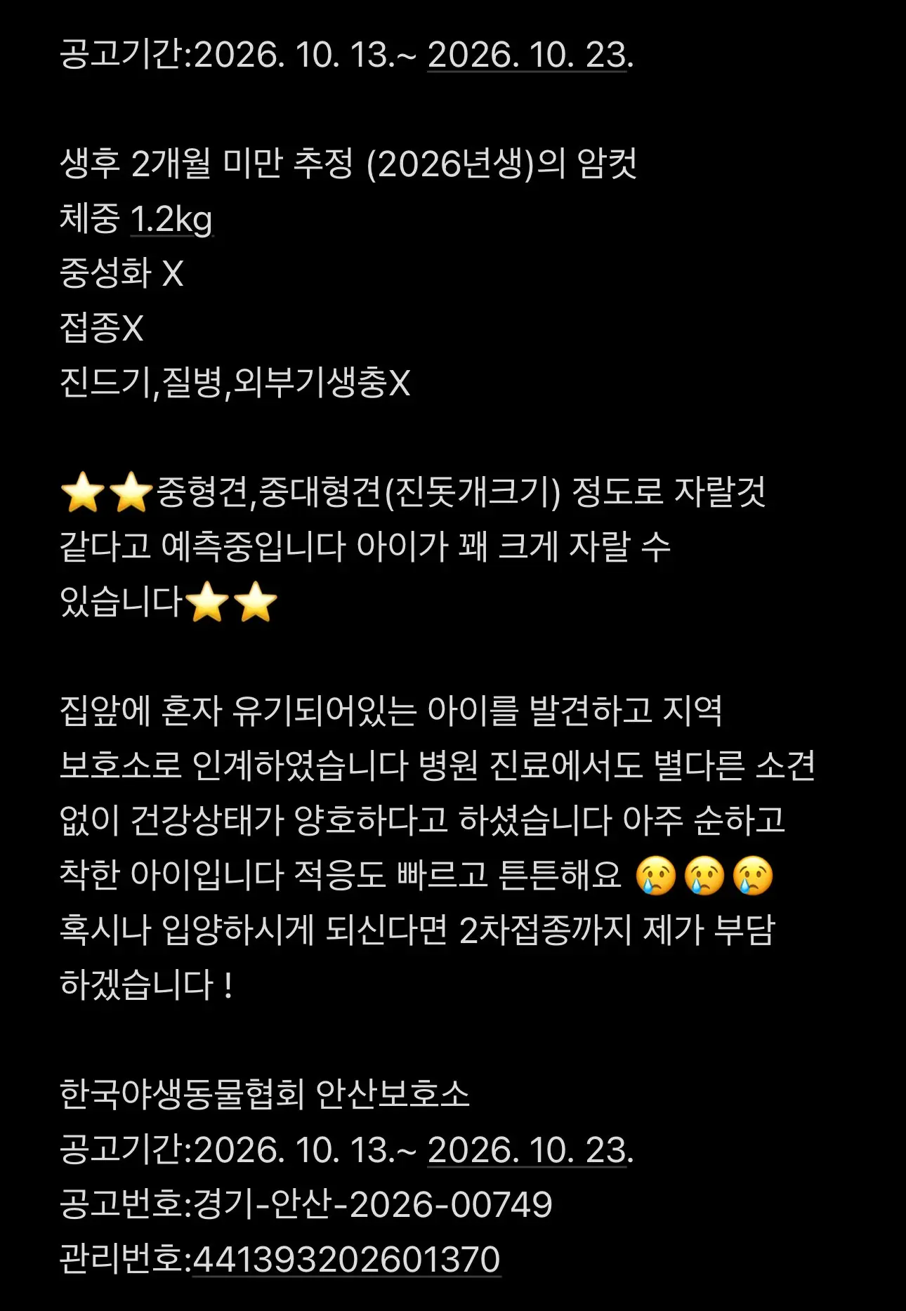새벽 집 앞에 홀로 울던 2개월 아기 강아지 똔가, 안산보호소에서 가족을 기다려요 (5)