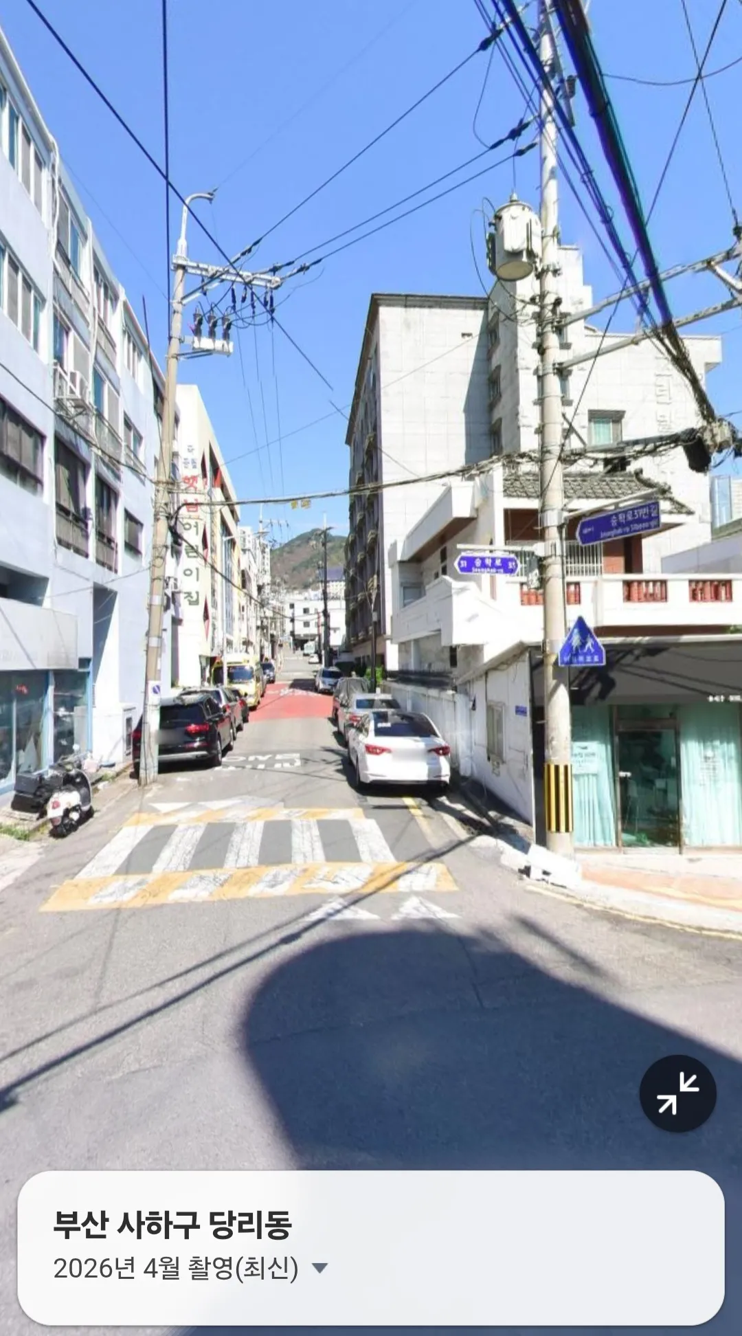 산책 중 교통사고로 떠난 막내 밤이, 보험 담당자의 2차 가해 (3)