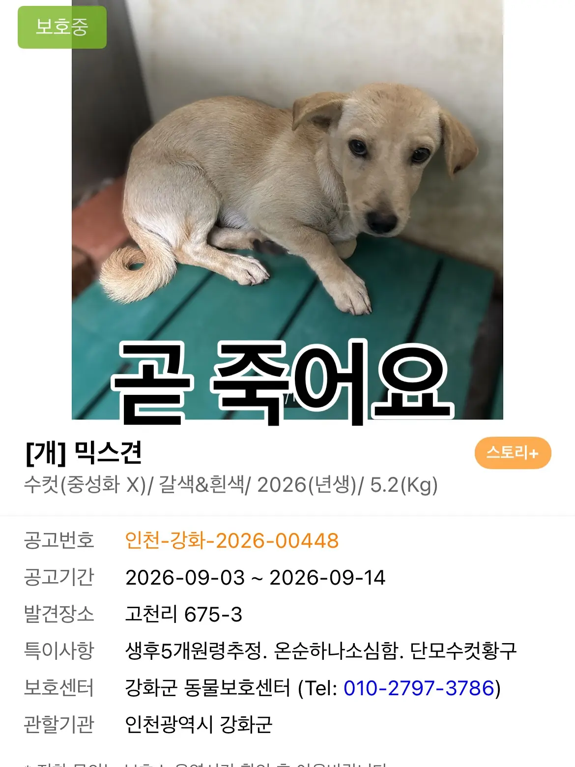 이 아이들을 살려주세요