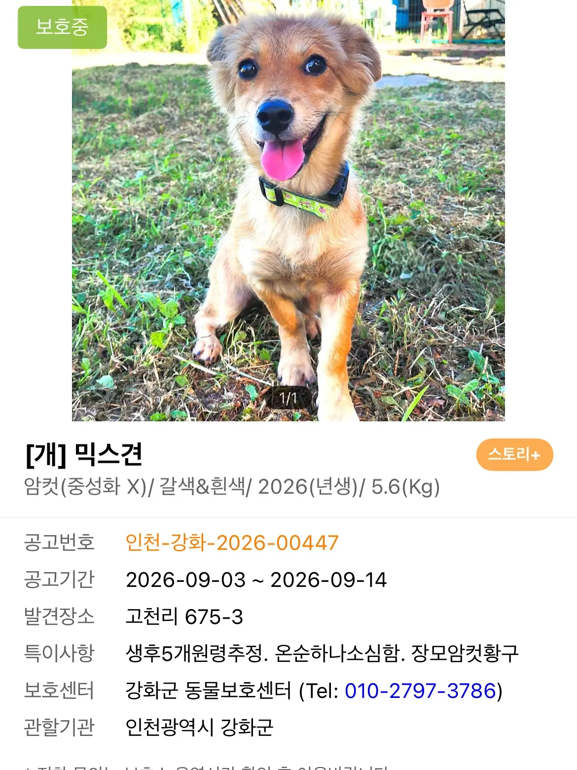 이 아이들을 살려주세요 (2)