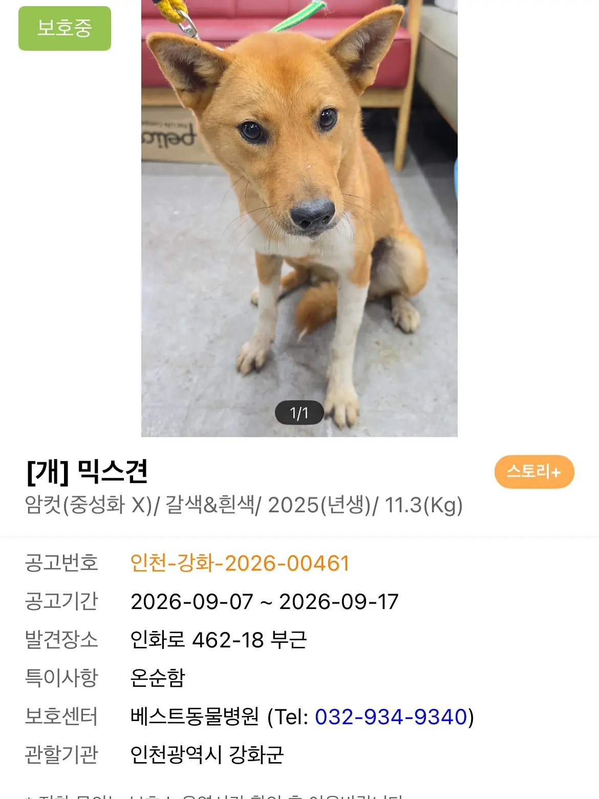 이 아이들을 살려주세요 (3)