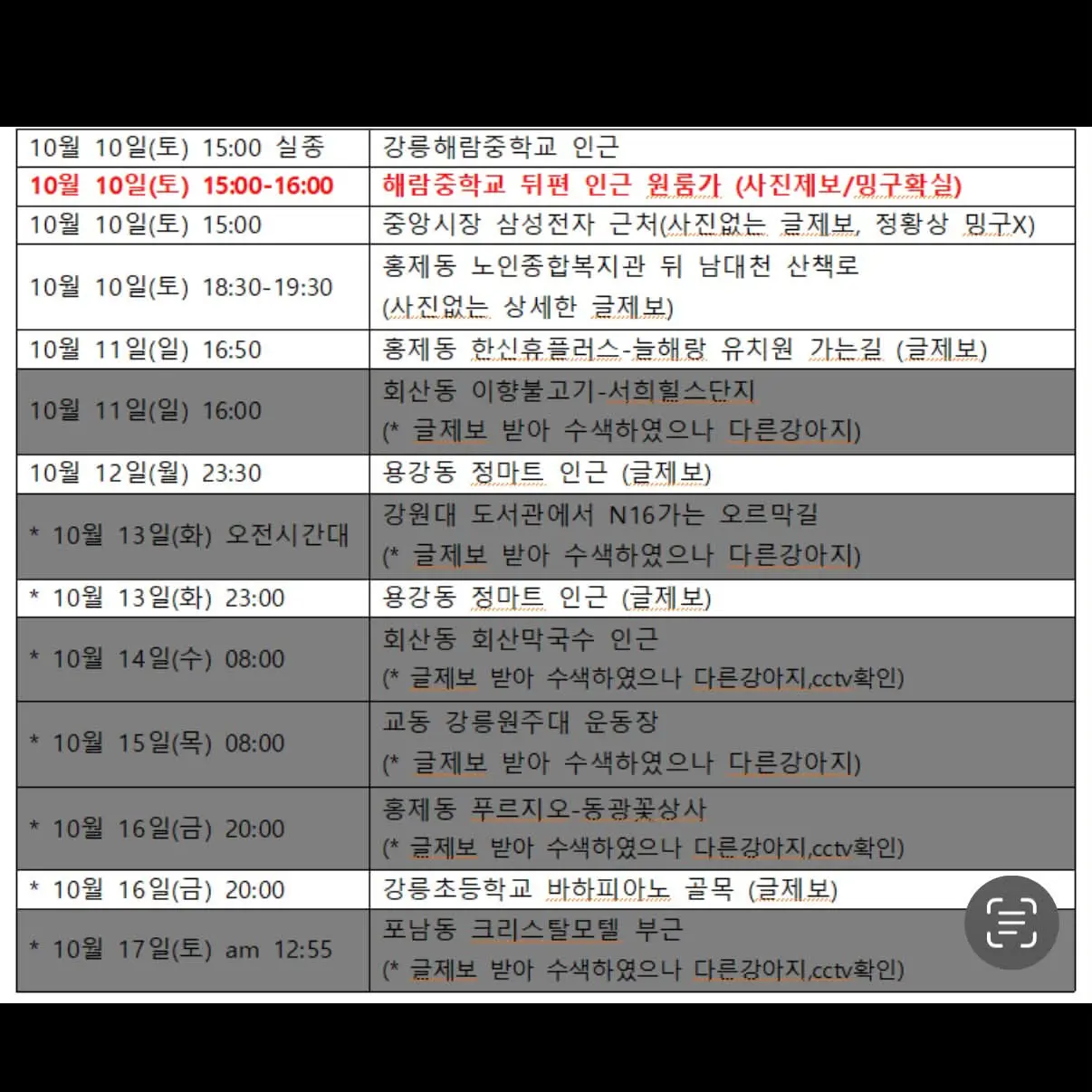 강릉 용강동 강릉해람중학교 인근에서 실종된 12살 믹스견 밍구를 찾습니다 (2)